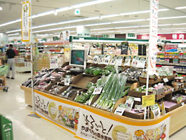 店内の様子