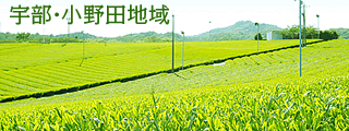 宇部・小野田地域