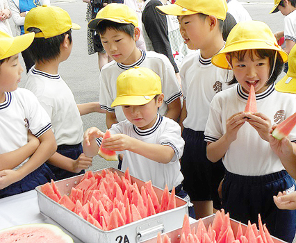 萩たまげなす_写真1