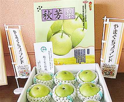 秋芳梨(赤秀)_写真1